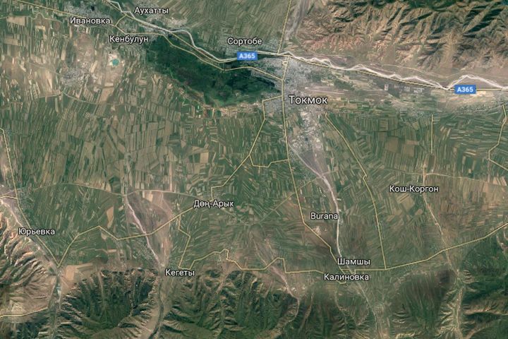 Porno rasmlar galereyasi